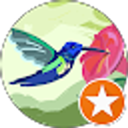 Profile photo of Yenisleydi Barsaga Castillo