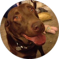 Profile photo of Scarlett Louie