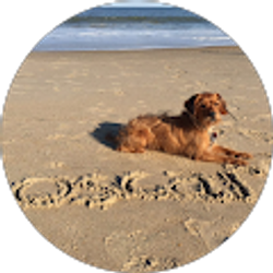 Profile photo of Marsha and Oscar