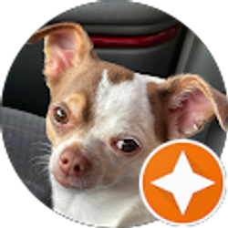 Profile photo of Iqilan Stevens