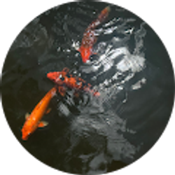 Profile photo of Haylee Dinarte