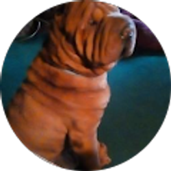 Profile photo of John Mac