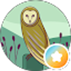 Profile photo of Apto Know