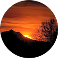 Profile photo of Topaz Larsen