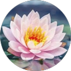 Profile photo of Ashley Ruacho