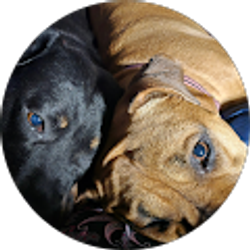 Profile photo of Shannon Colsten