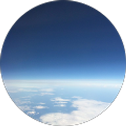 Profile photo of Drew F