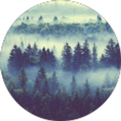 Profile photo of Andrea Kaplan