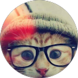 Profile photo of Pam Rodriguez