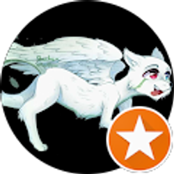 Profile photo of Firedash95