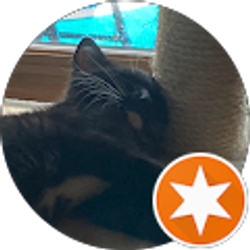 Profile photo of Robert the bruce dixon