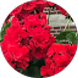 Profile photo of Keairra Autry