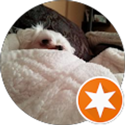 Profile photo of patti healy