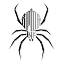 Profile photo of Duriel Spida