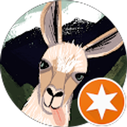 Profile photo of Seth Myers