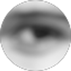 Profile photo of Sunni Fass