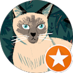 Profile photo of adriana pineda