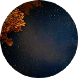 Profile photo of Serenity Ashwood