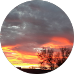 Profile photo of Cheryl Mueller-Logue