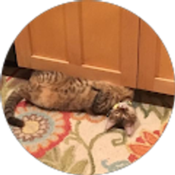 Profile photo of Michi Lover