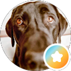 Profile photo of Julie Konishi