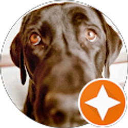 Profile photo of Julie Konishi