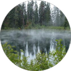 Profile photo of Tyler Verdick