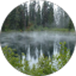 Profile photo of Tyler Verdick