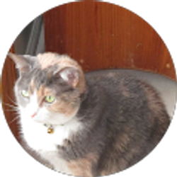 Profile photo of Chuck Goldstein