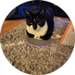 Profile photo of Martina Smid