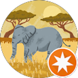 Profile photo of Brian Cunningham