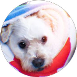 Profile photo of Destiney