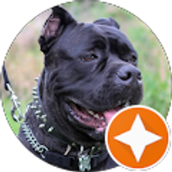 Profile photo of Mary