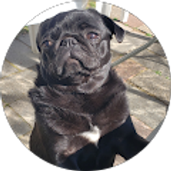 Profile photo of Sarah White