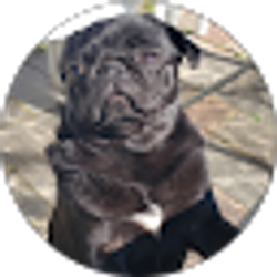 Profile photo of Sarah White