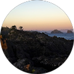 Profile photo of karen zawojski