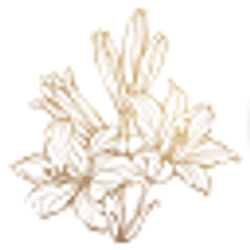 Profile photo of Miss Elisa K.