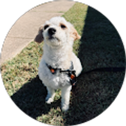 Profile photo of Bon Acosta