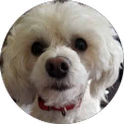 Profile photo of PAULA FLEMING