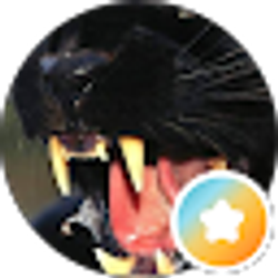 Profile photo of L. L.