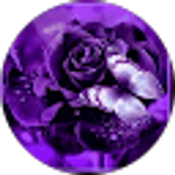 Profile photo of Tracy Wise