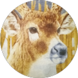 Profile photo of Brian Scott