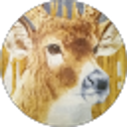 Profile photo of Brian Scott