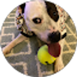 Profile photo of Yolibeth MP