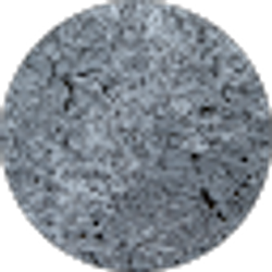 Profile photo of Sheila Vecchio