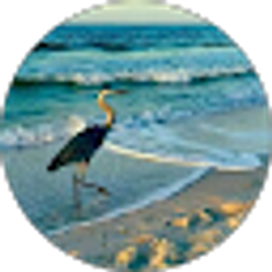 Profile photo of Rebekah Rigby