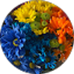 Profile photo of Lanise
