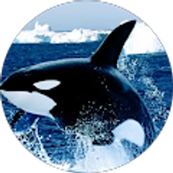 Profile photo of Alba Lopez