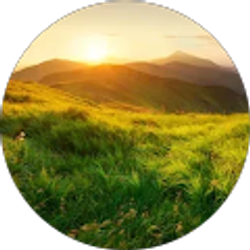 Profile photo of Harsh Patel