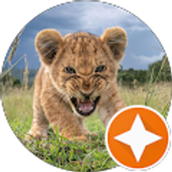 Profile photo of Luigui Ditroit